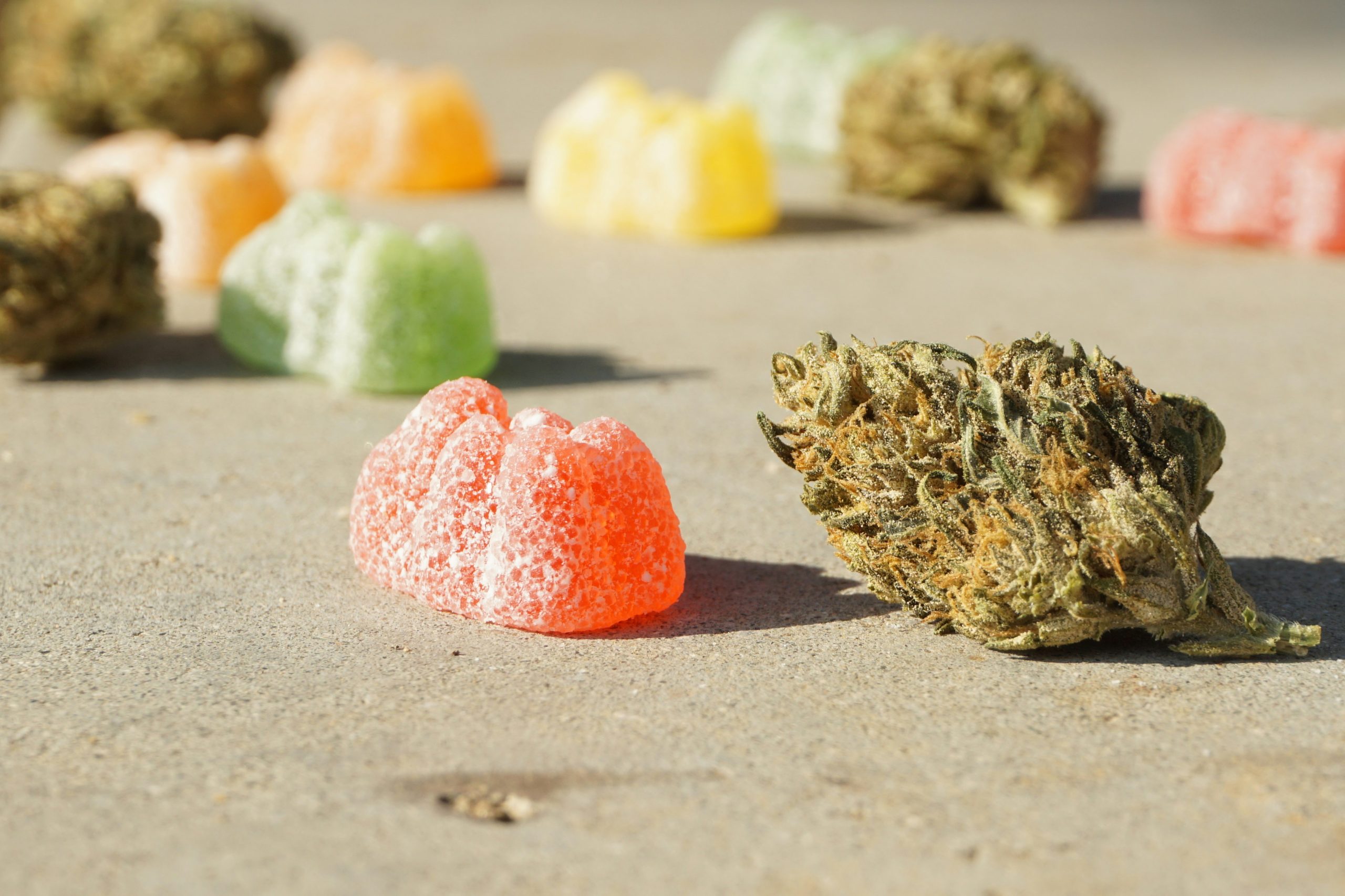 A person carefully measuring cannabis edibles