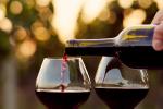 A hand pours red wine from a bottle into one of two wine glasses outdoors, with a blurred background of greenery and warm sunlight.